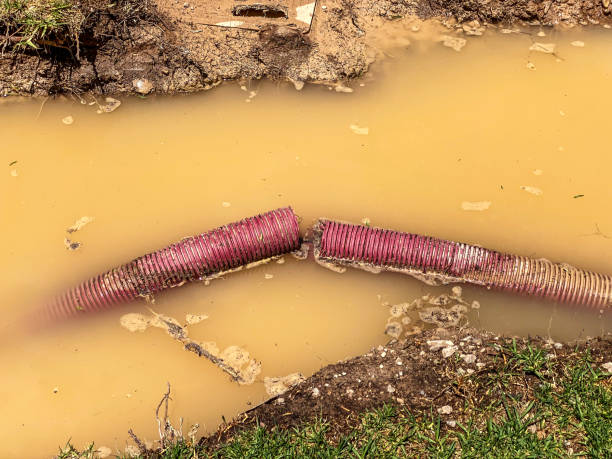 Best Water damage restoration near me  in Richardson, TX