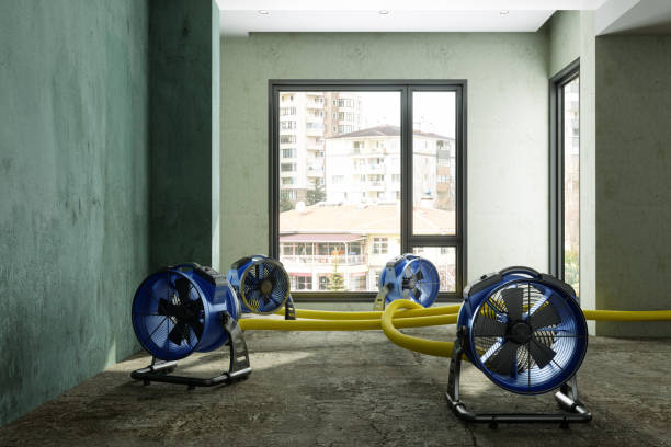 Best Mold removal after water damage  in Richardson, TX